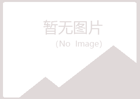 鲁山县青曼会计有限公司